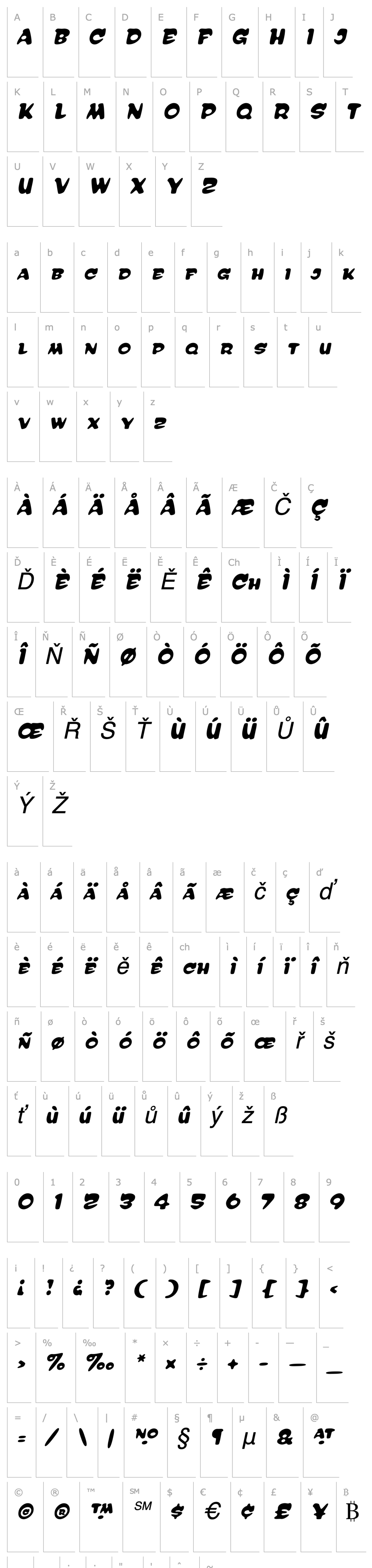 Přehled Reasonist-MediumItalic