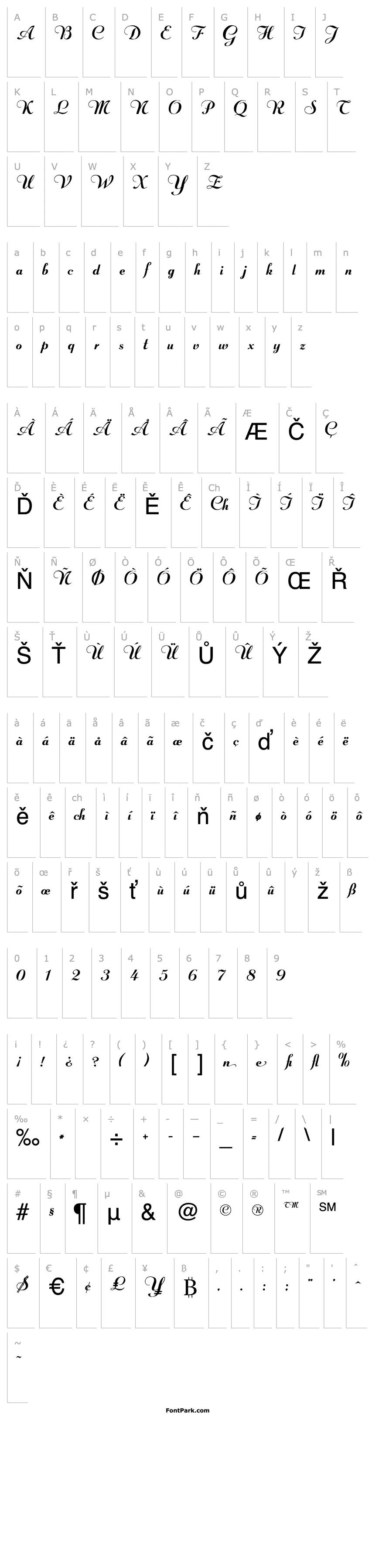 Overview RechtmanSolid Regular