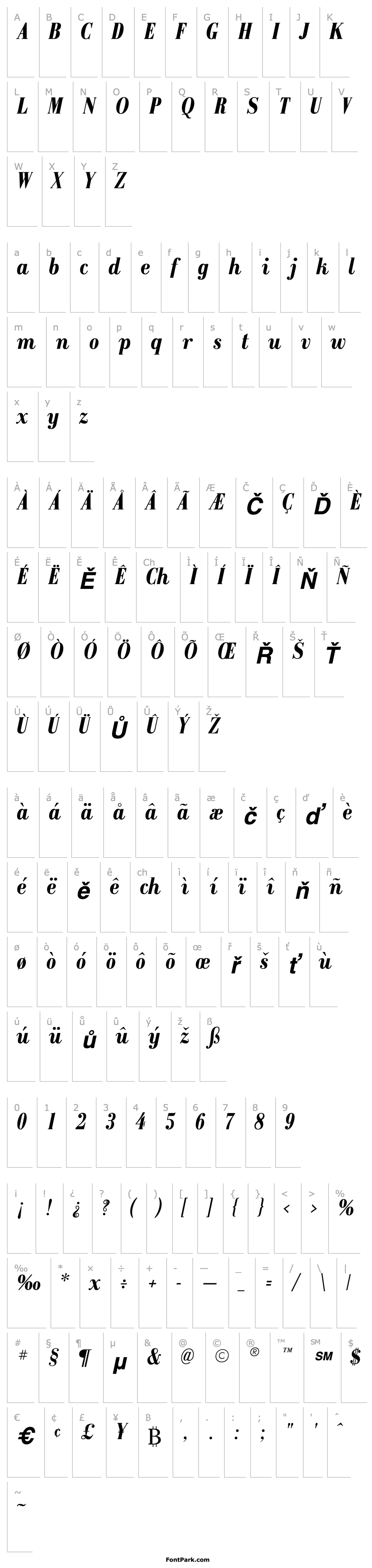 Overview Recital SSi Bold Italic