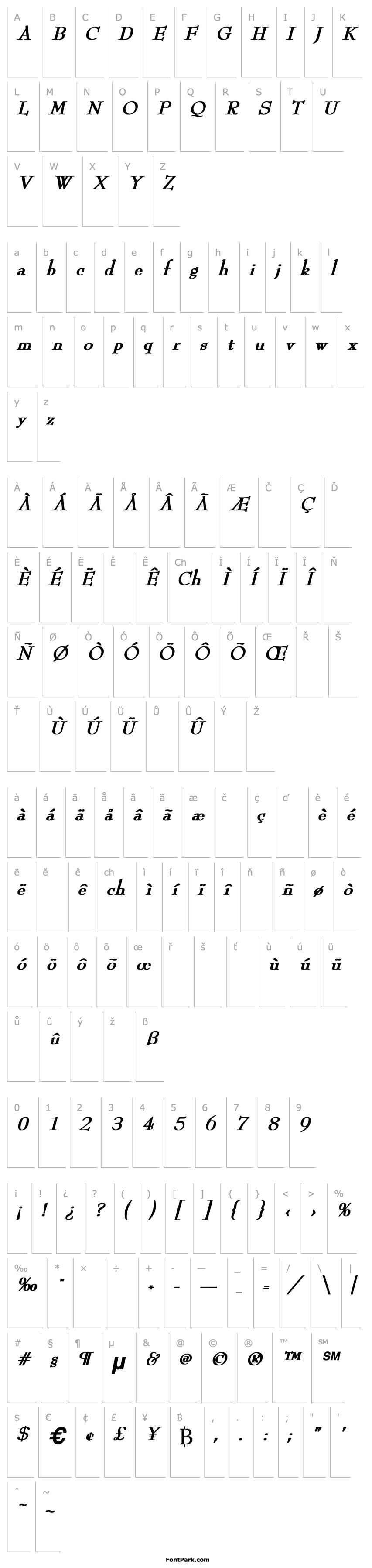 Overview ReedFont Bold Italic