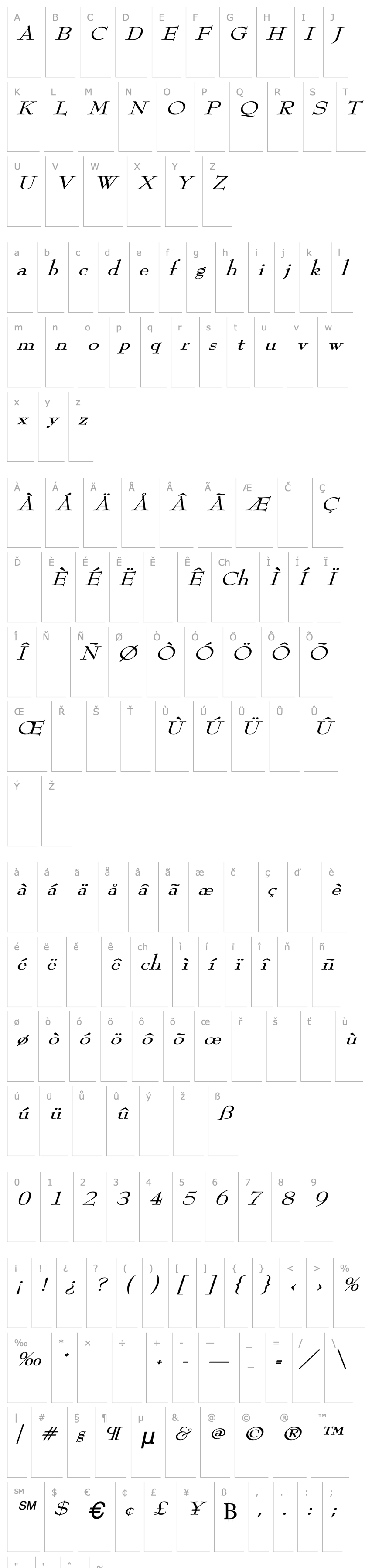 Overview ReedFont Wd Italic