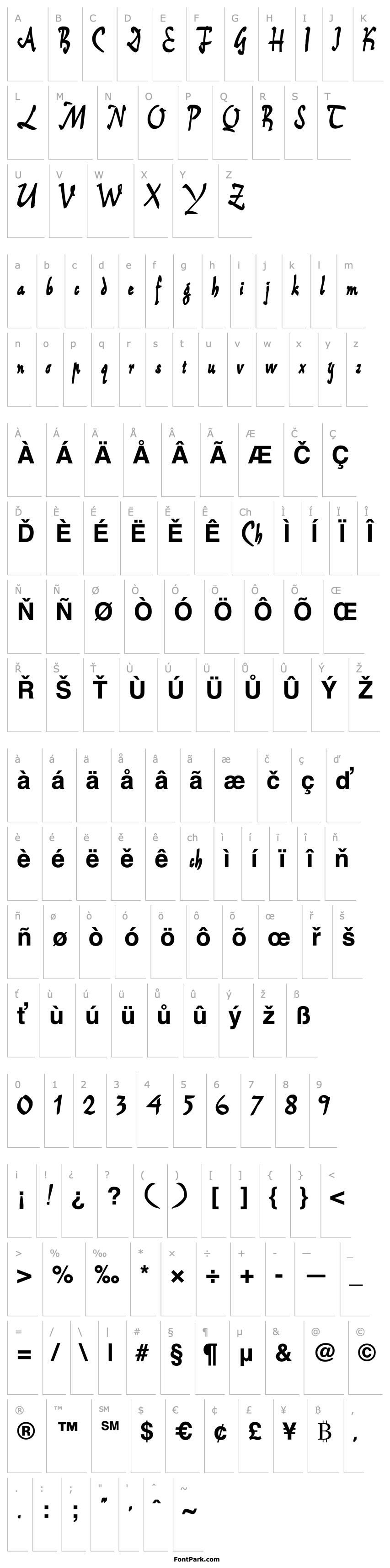 Přehled Reiner Script Bold