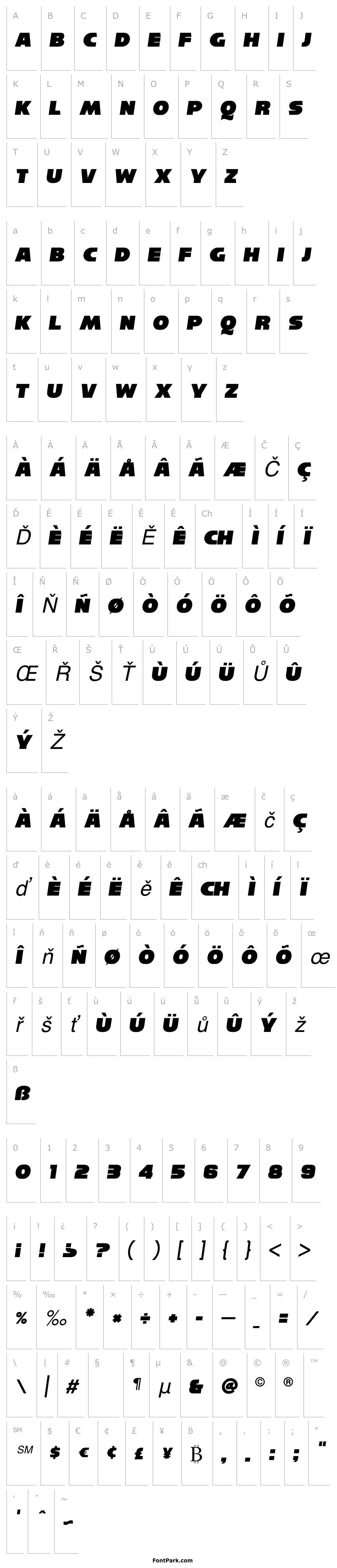 Overview Reisenberg Italic