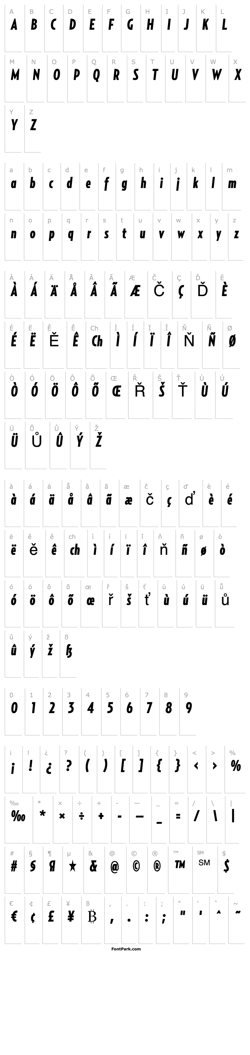 Přehled RelayComp-BlackItalic