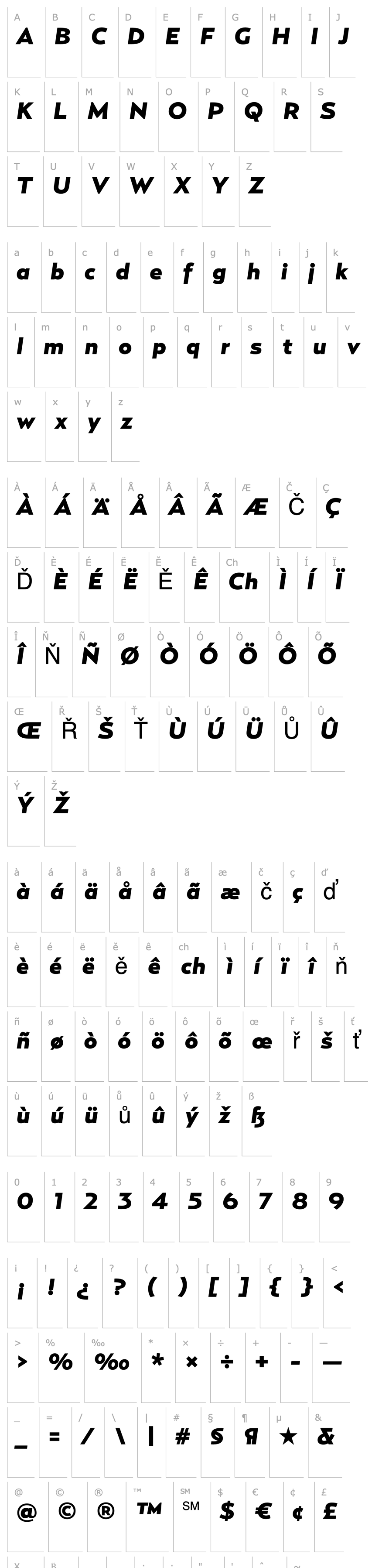 Přehled RelayWide-BlackItalic