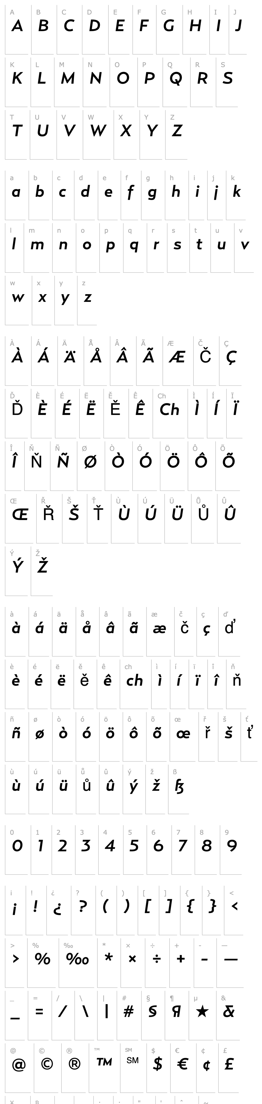 Přehled RelayWide-MediumItalic