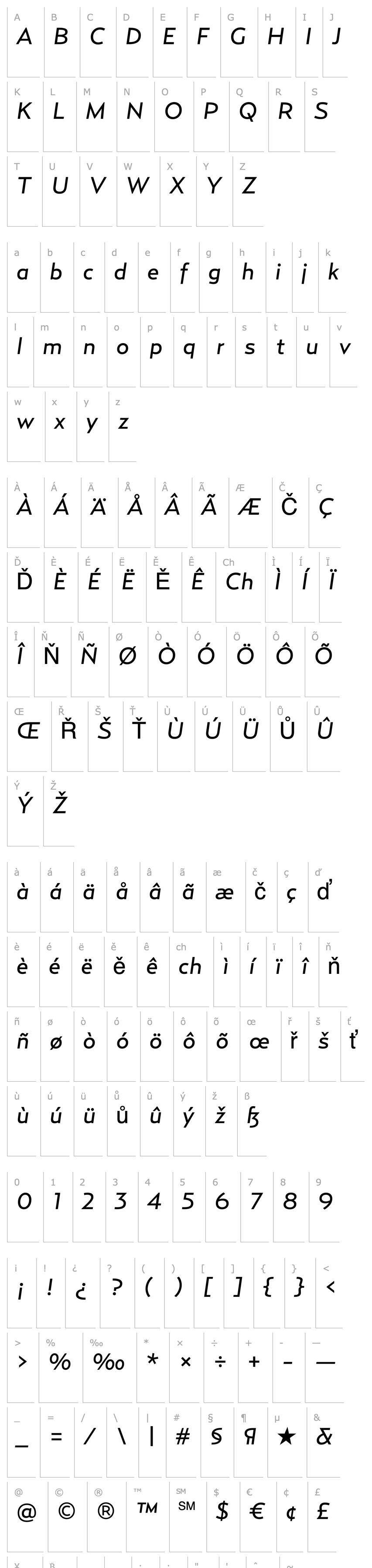 Overview RelayWide-RegularItalic