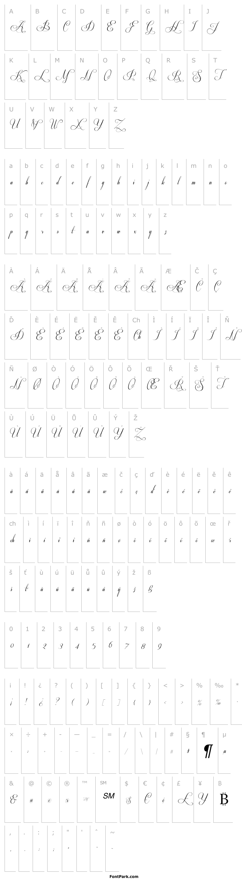 Overview Respective 2.0