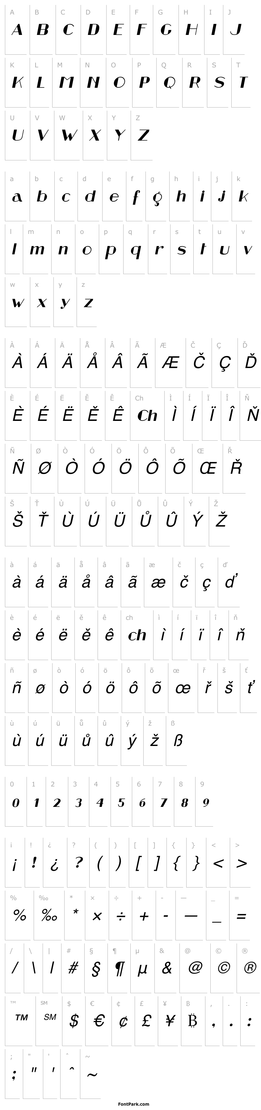 Přehled Retrospective Italic