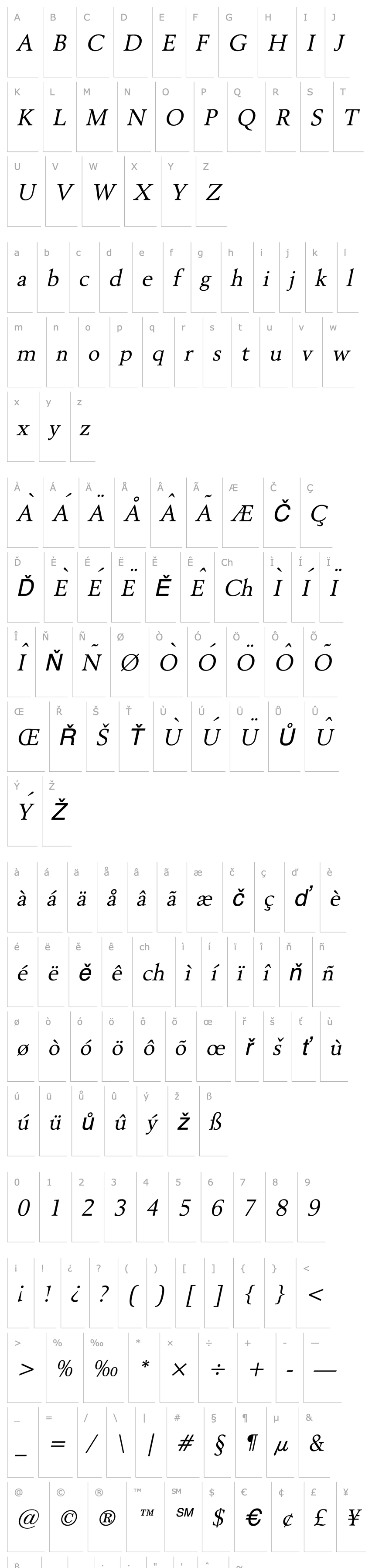 Overview Revive 8 Italic