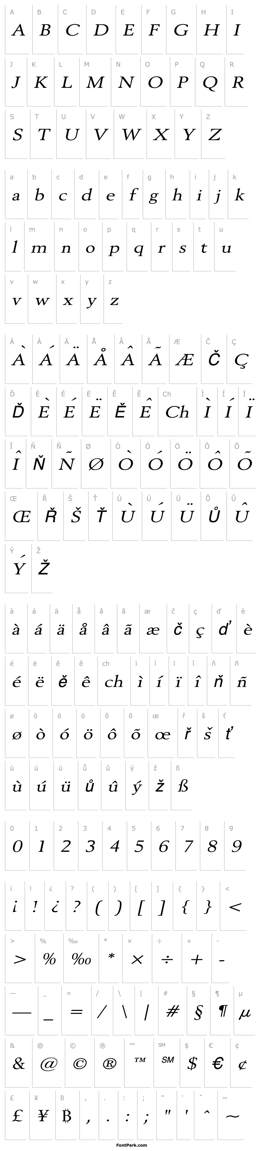 Overview Revive 8 Wide Italic