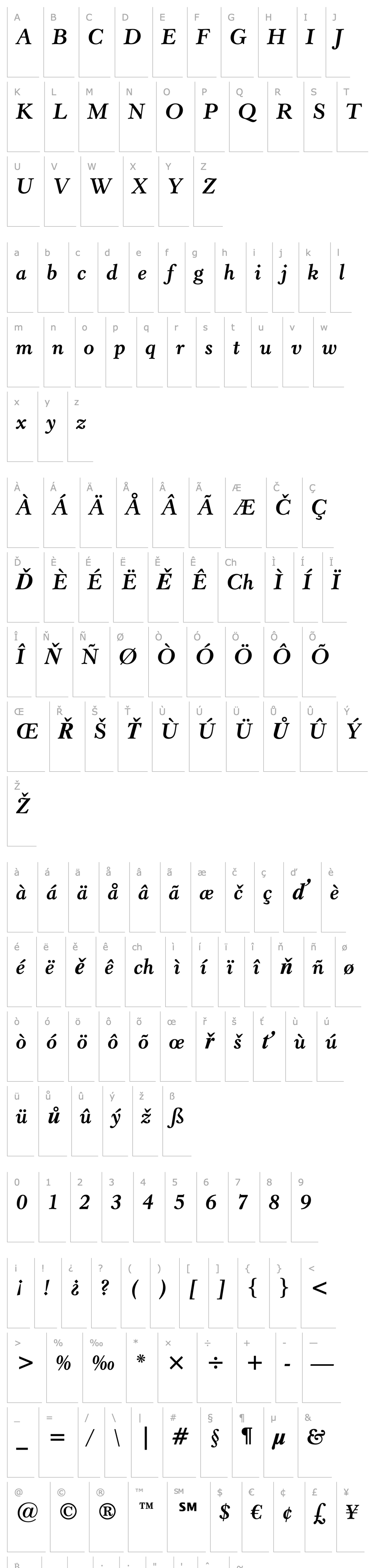 Overview Revivl555 BT Bold Italic