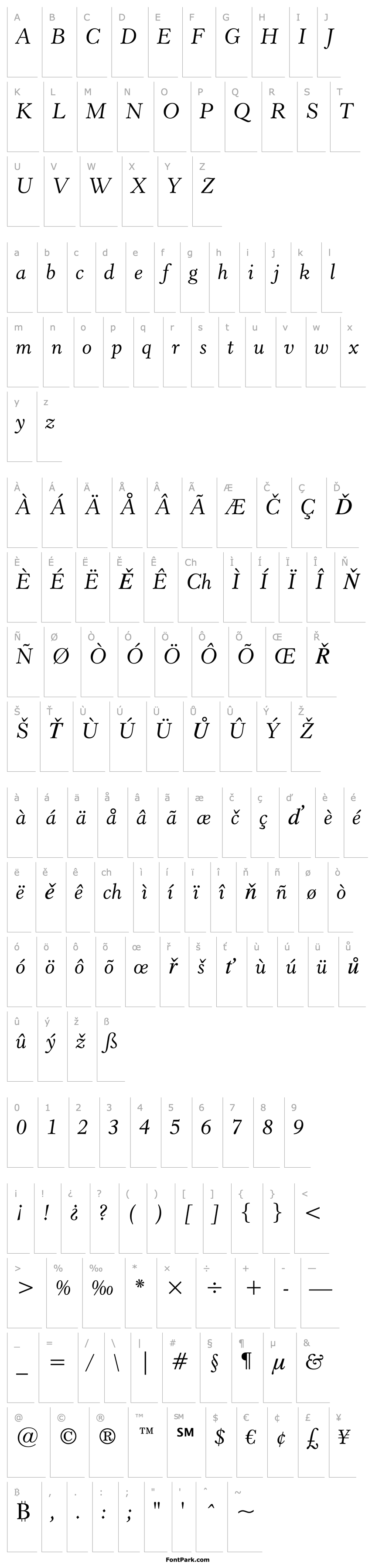 Overview Revivl555 BT Italic