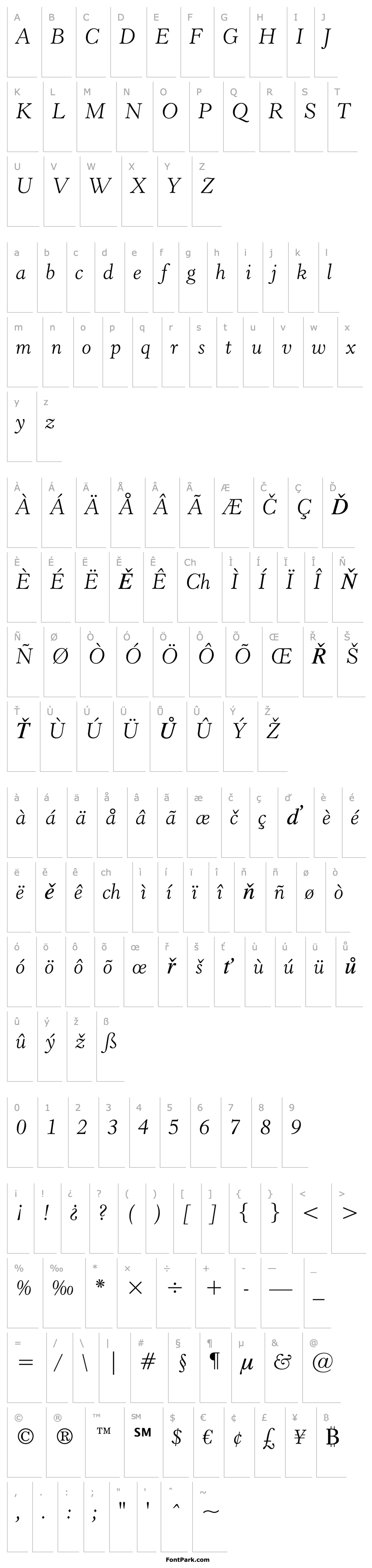 Overview Revivl555 Lt BT Light Italic