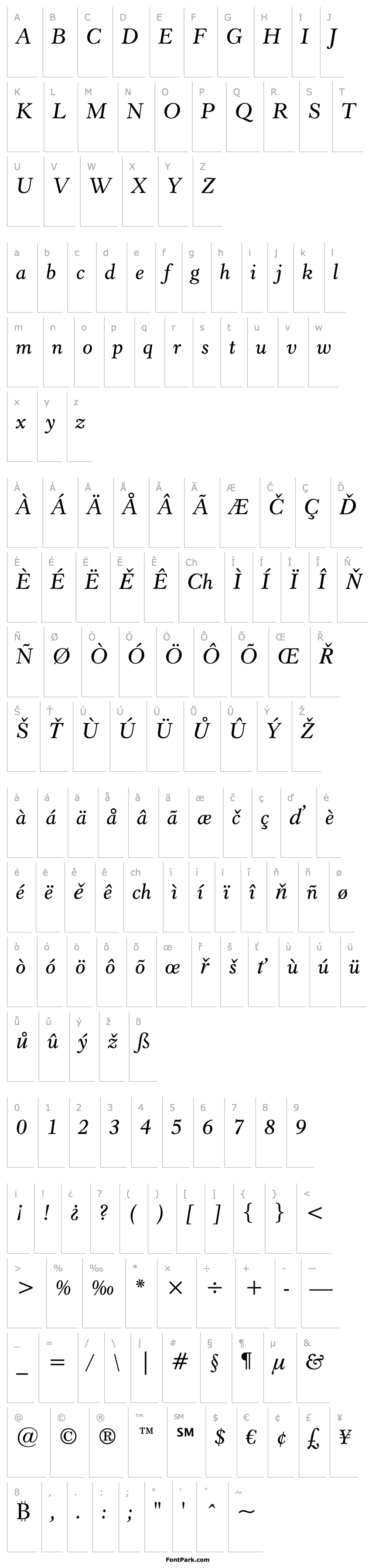 Overview Revivl555 SeBd BT Semi Bold Italic