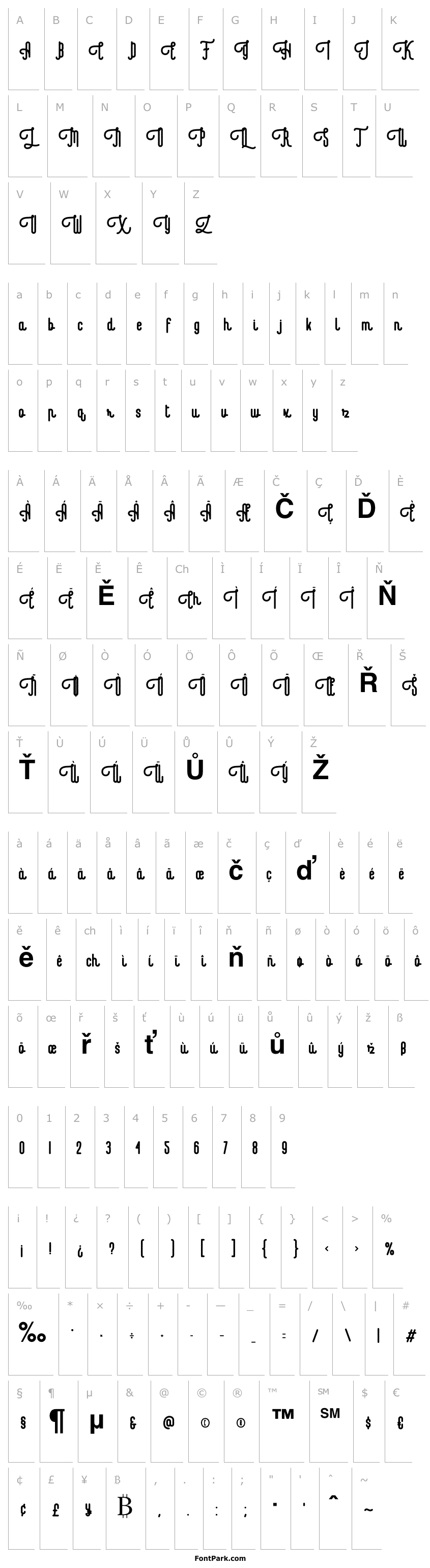 Přehled Revolage Script Rough