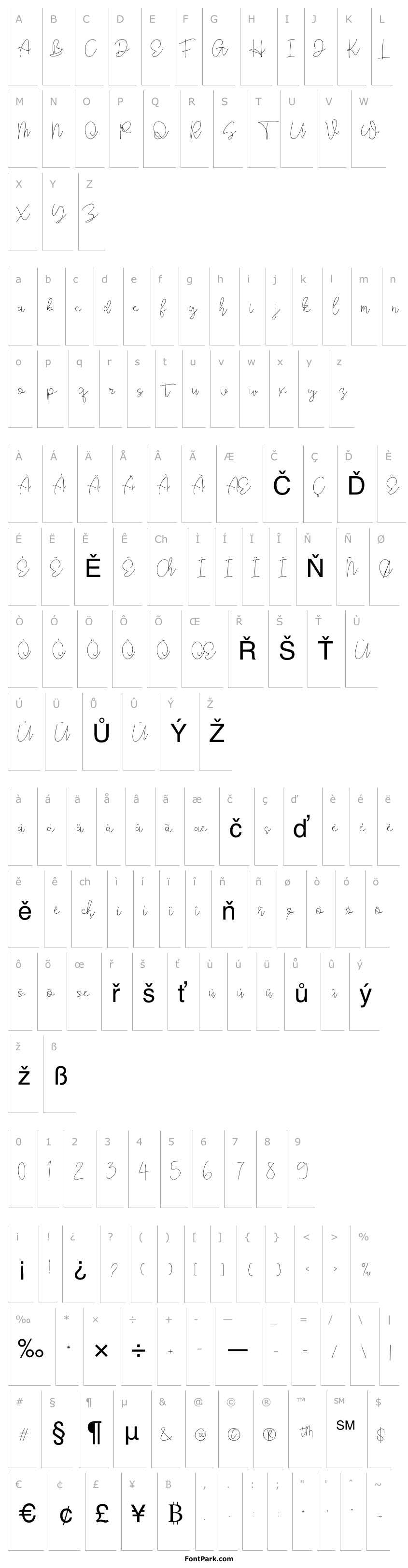 Overview Rhythm Script Regular