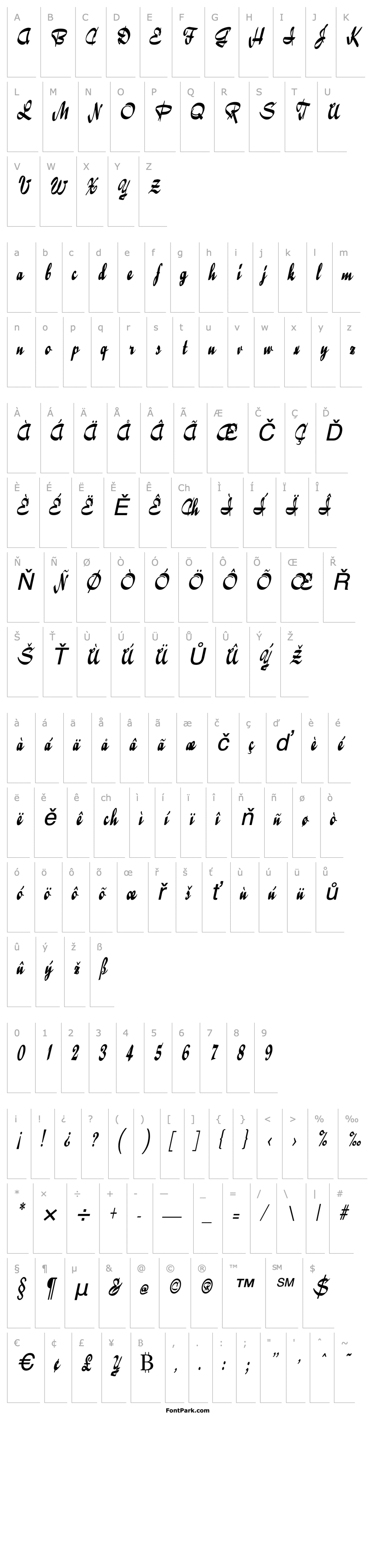 Overview RibbonsCondensed Italic