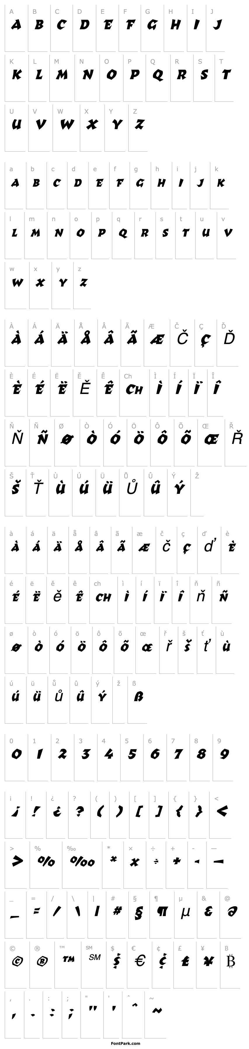 Overview Richter Italic