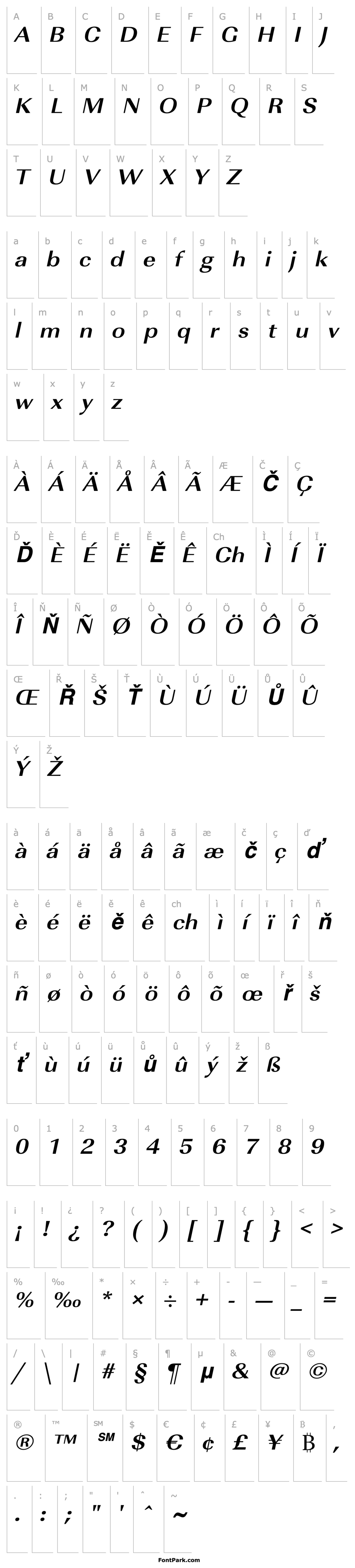 Overview RicoBeckerExtended Bold Italic