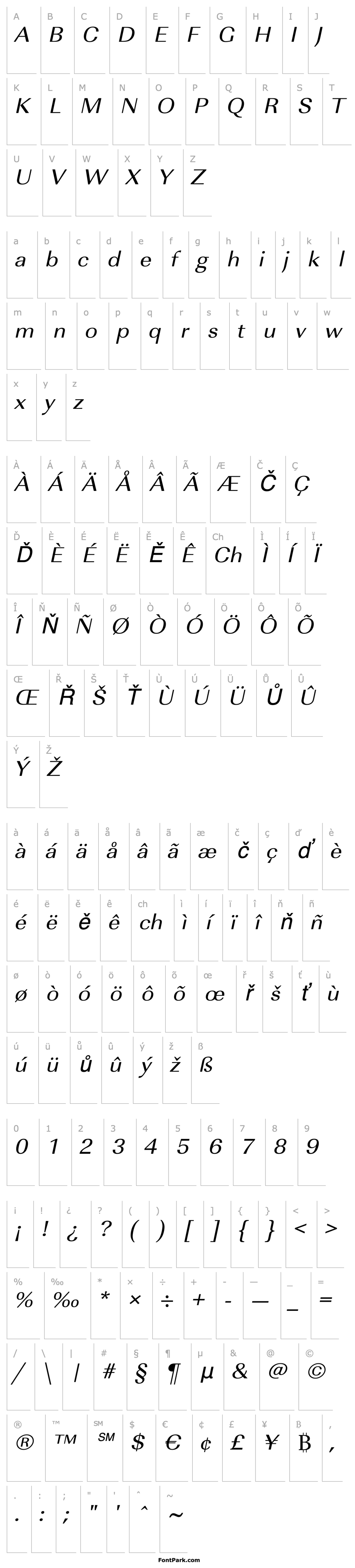 Overview RicoBeckerExtended Italic