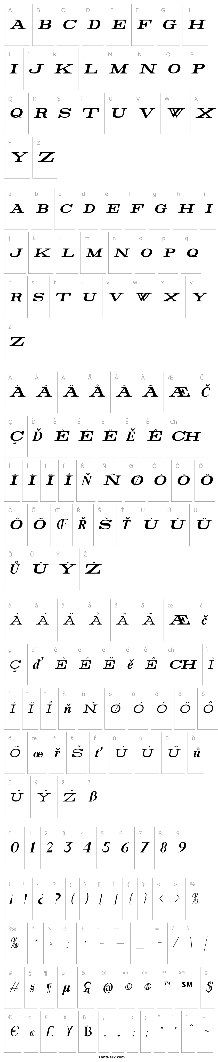 Overview Rider Bold Italic