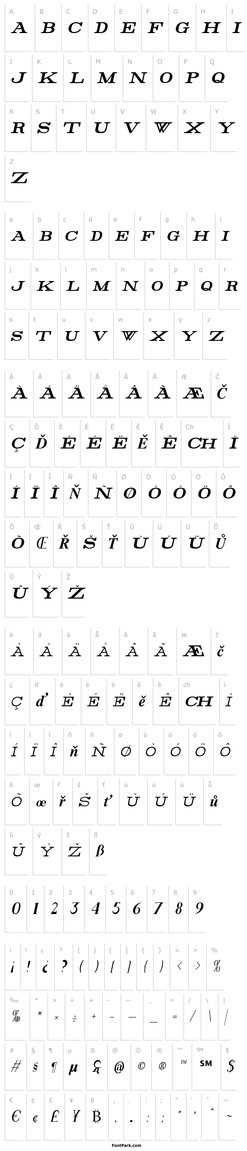 Přehled Rider Condensed Bold Italic