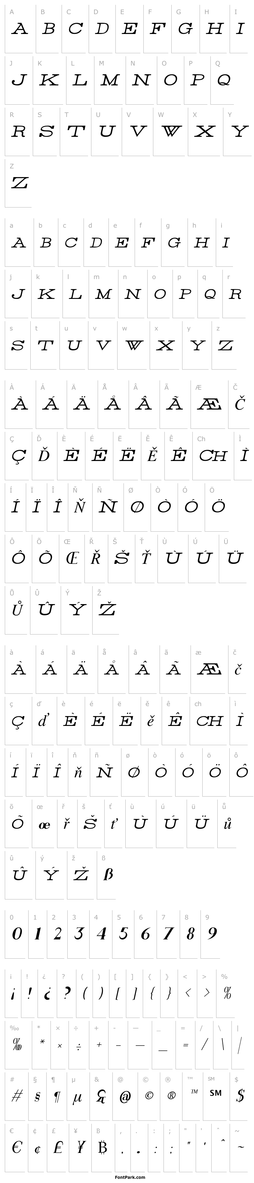 Přehled Rider Light Italic