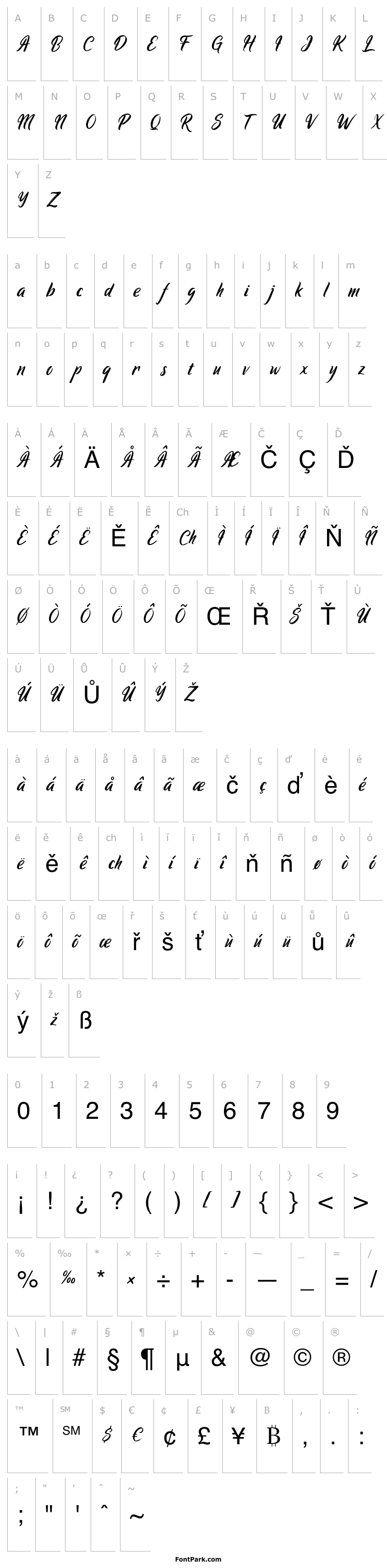 Přehled Ringtrack Demo