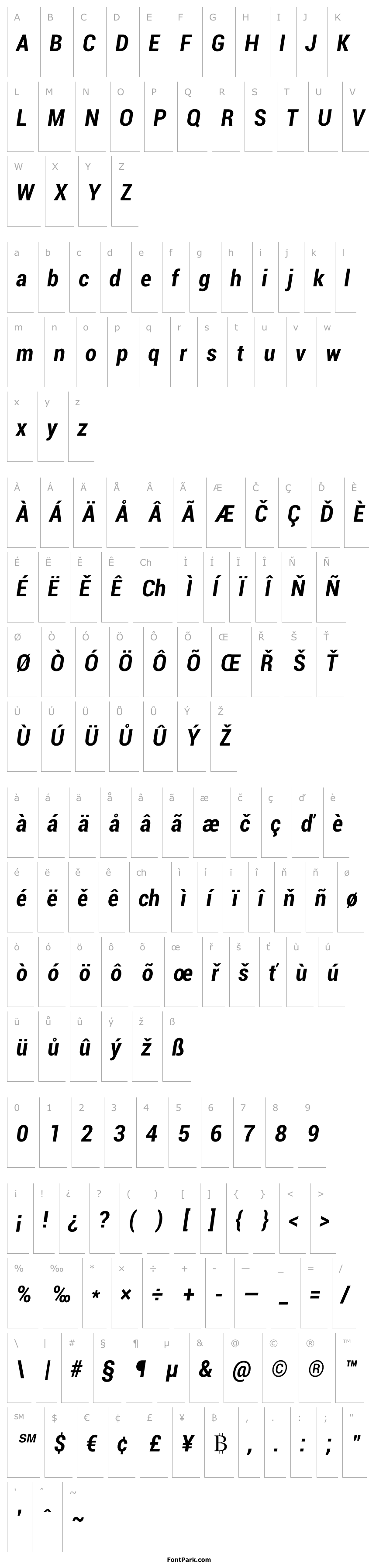 Přehled Roboto Bold Condensed Italic