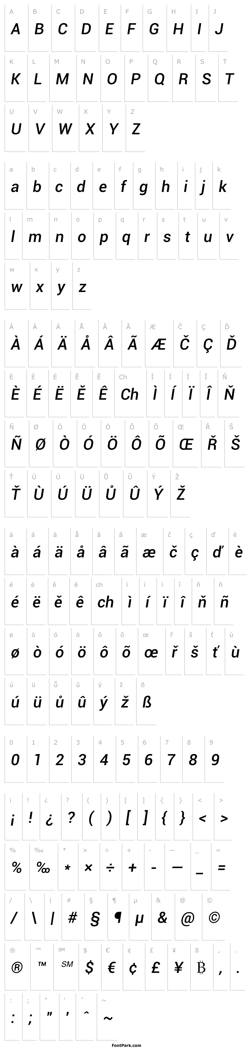 Overview Roboto Medium Italic