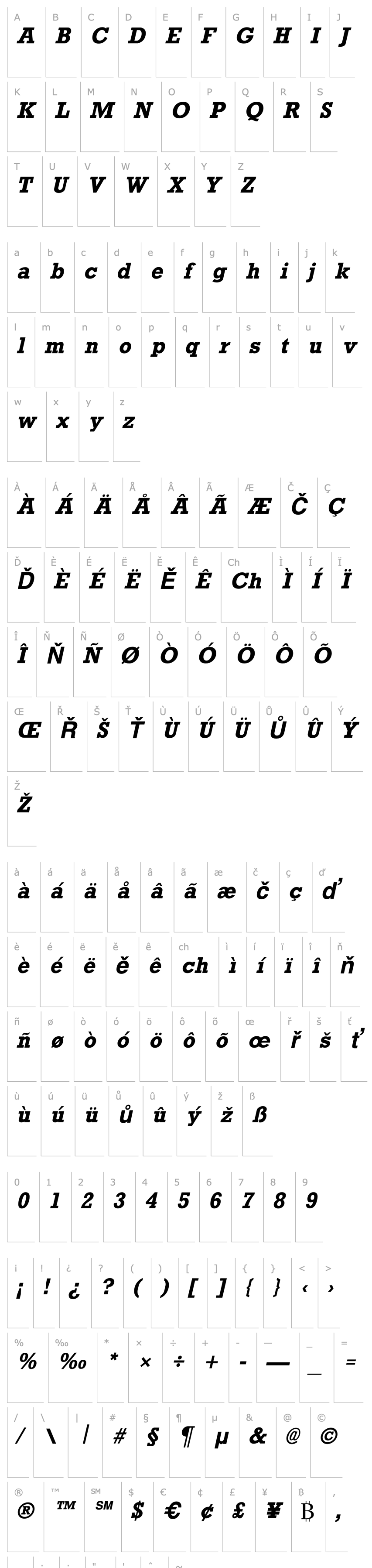 Overview Rockney Bold Italic