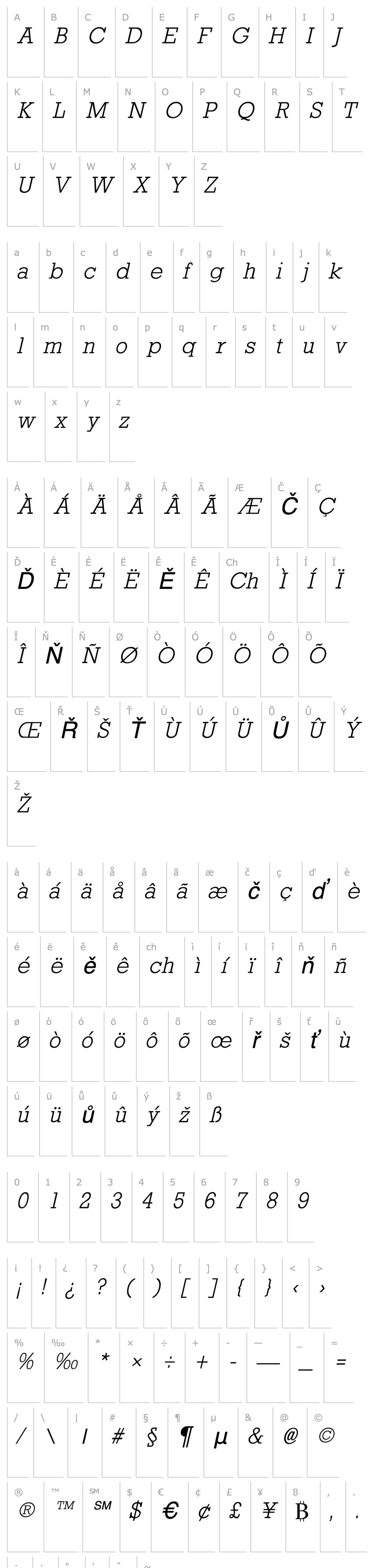 Overview Rockney Light Italic