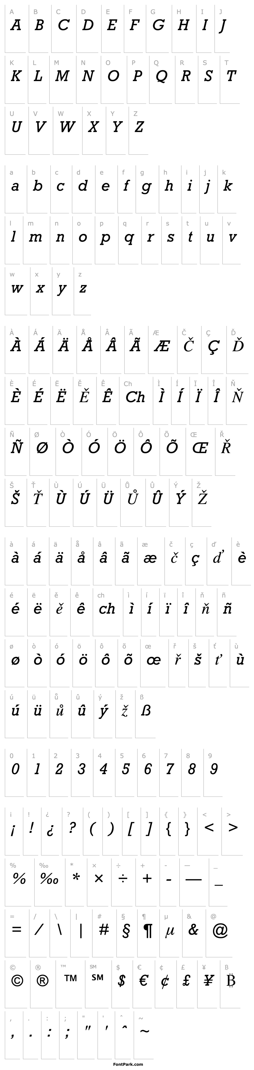 Overview Rockwell Italic