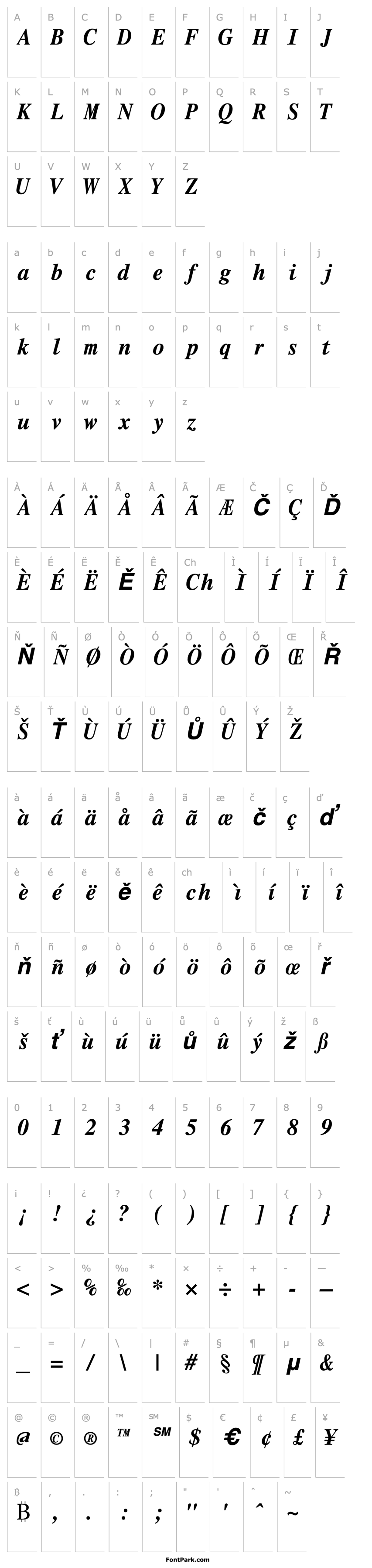 Overview Roman Mono Bold Italic