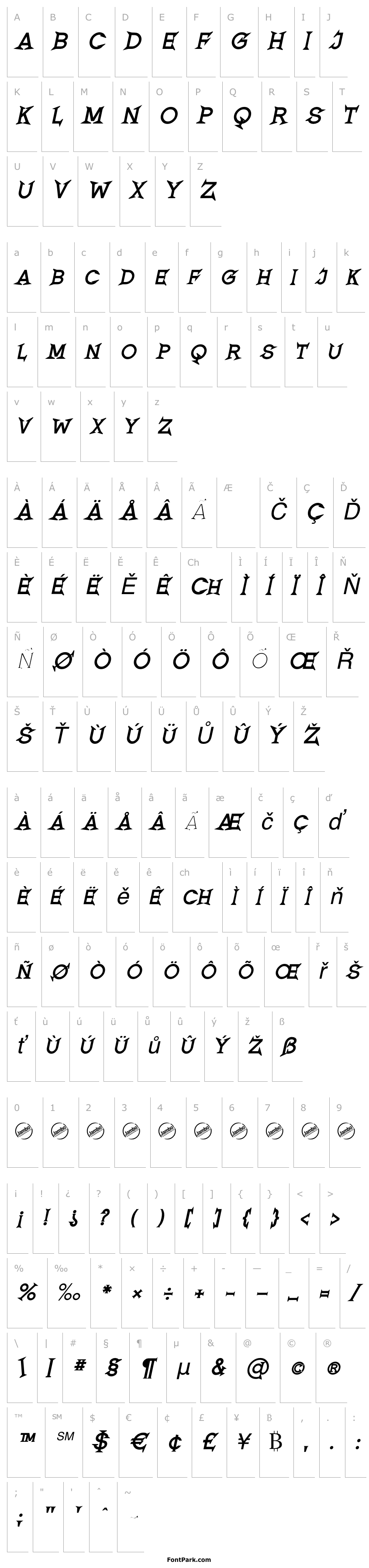 Přehled Romanicum-BoldItalic