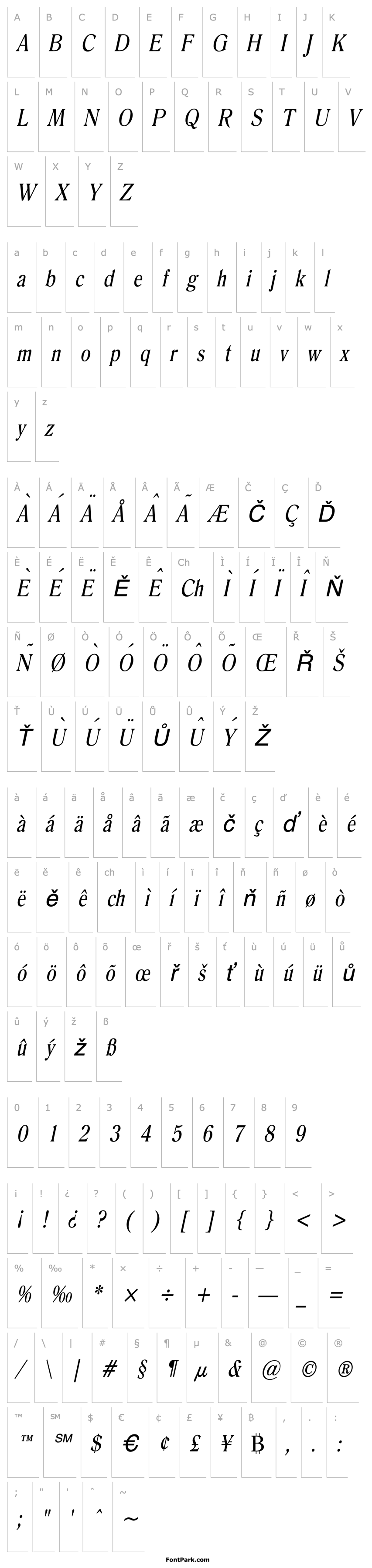 Overview Roomy Condensed Italic