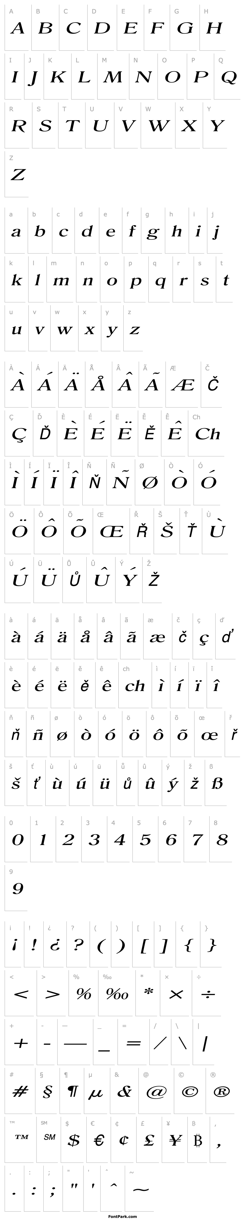 Overview Roomy Extended Italic