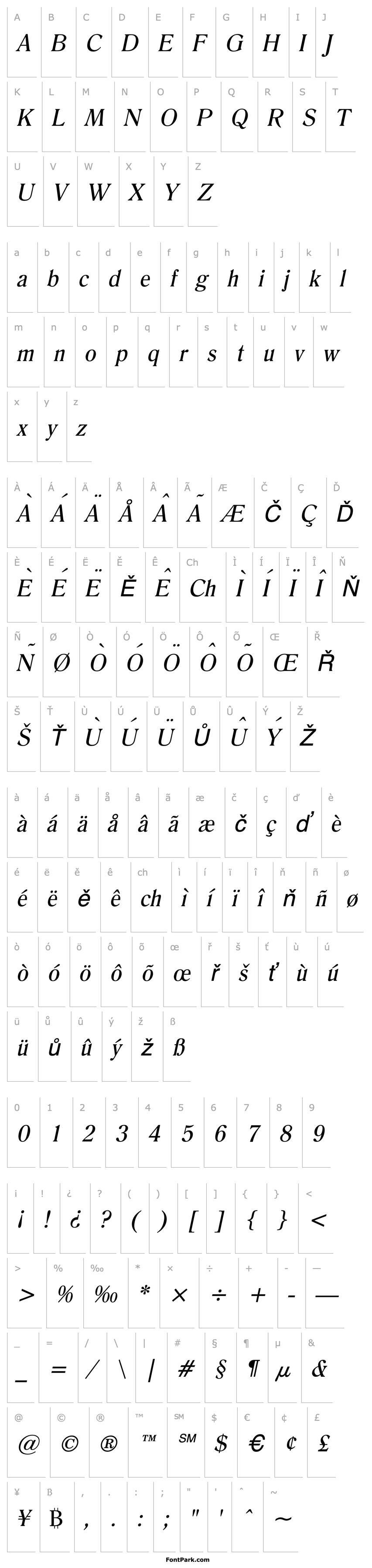 Overview Roomy Italic