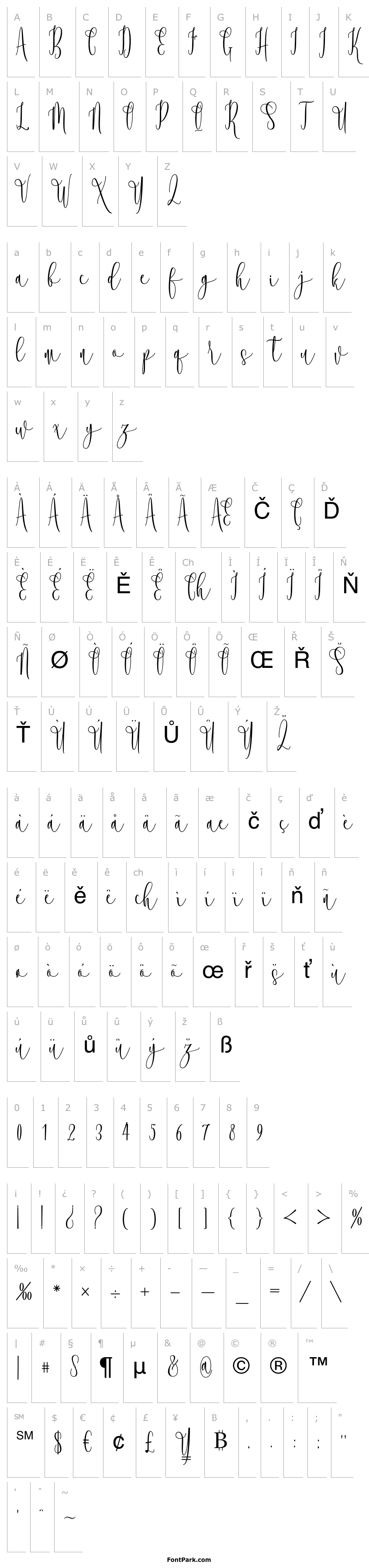 Přehled RoosterScript