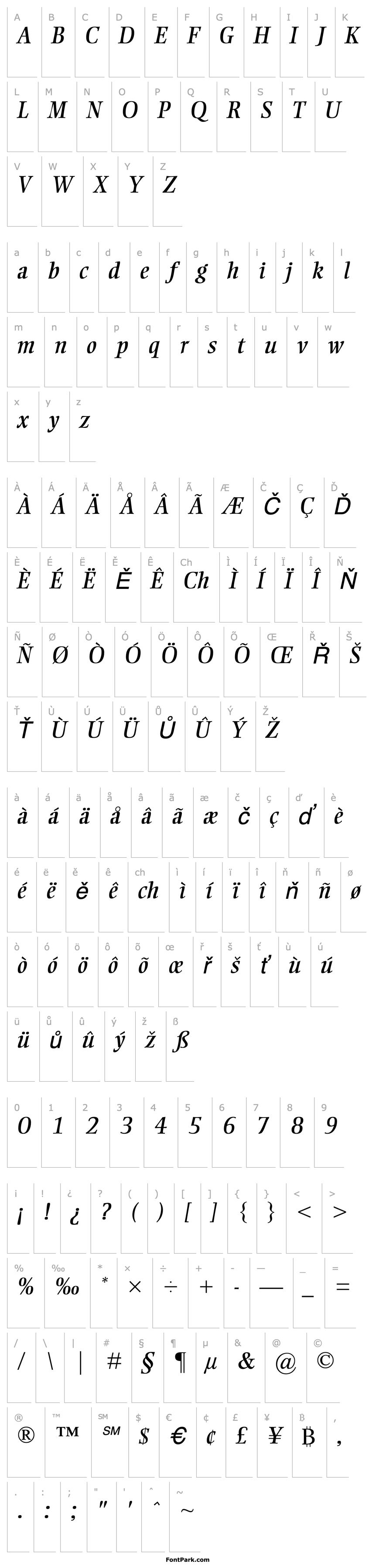 Overview RosarioSSK Italic