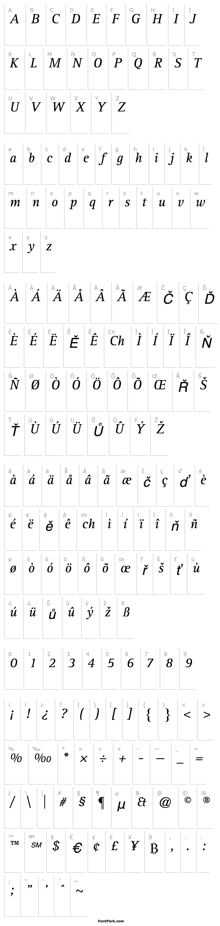 Přehled Rotis Serif 56 Italic