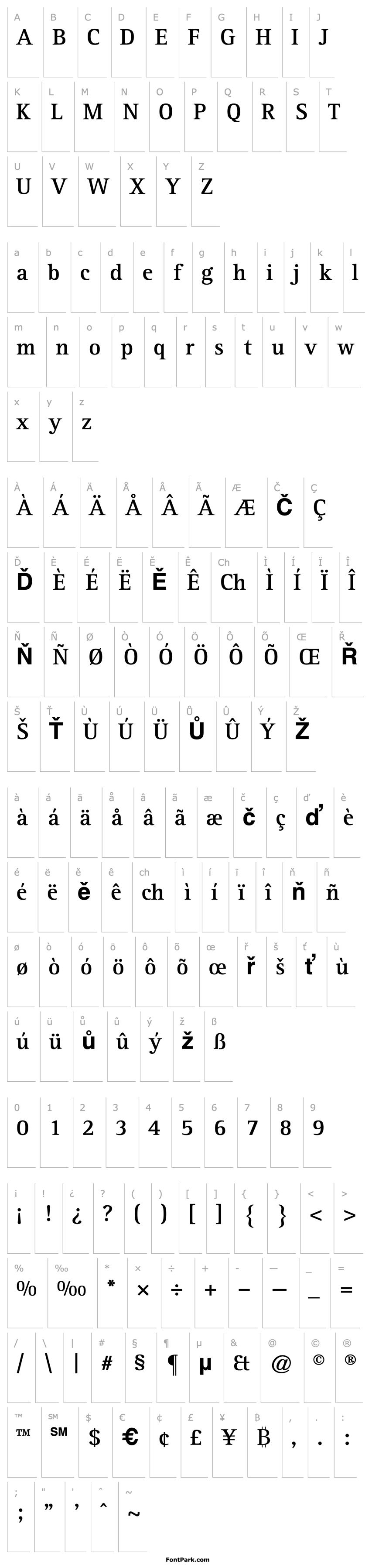 Overview Rotis Serif Bold 65