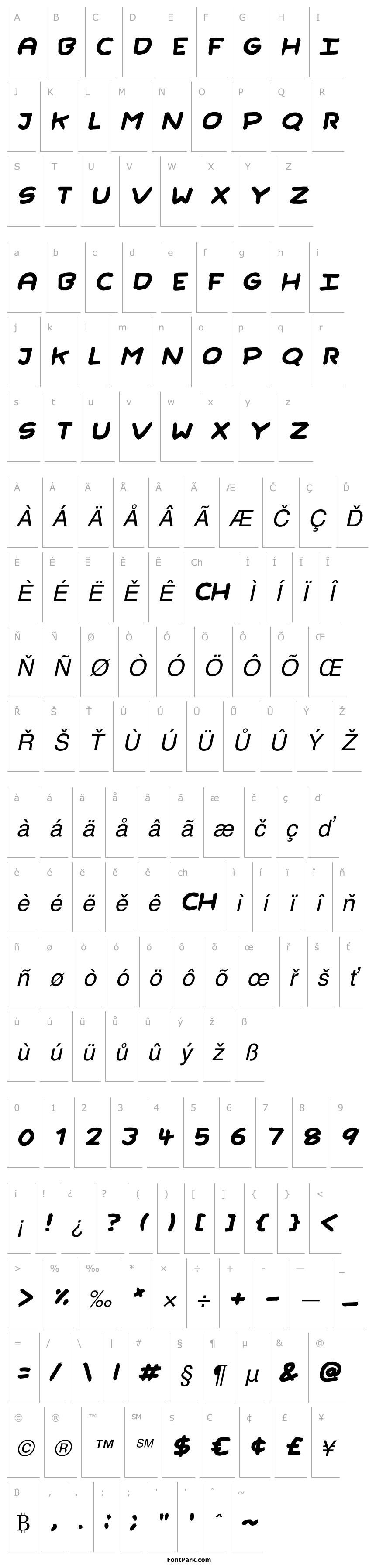 Přehled Rough Brush Italic