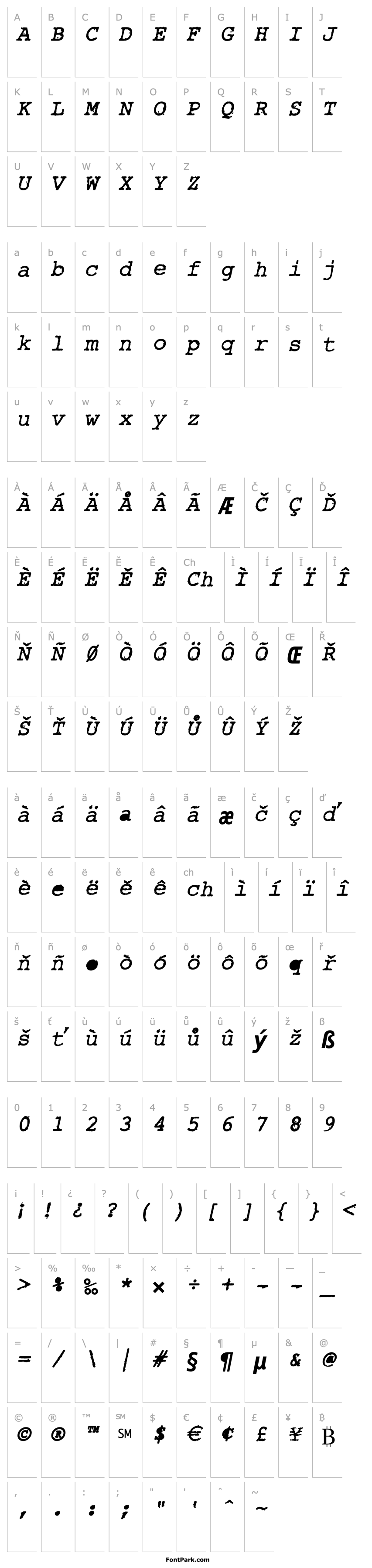 Overview Rough_Typewriter-BoldItalic