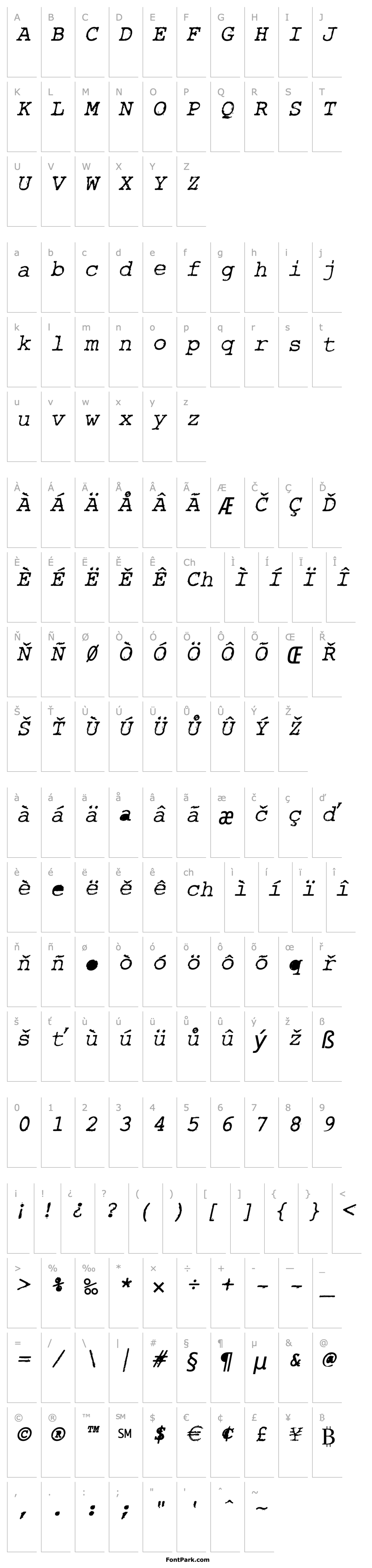 Overview Rough_Typewriter-Italic