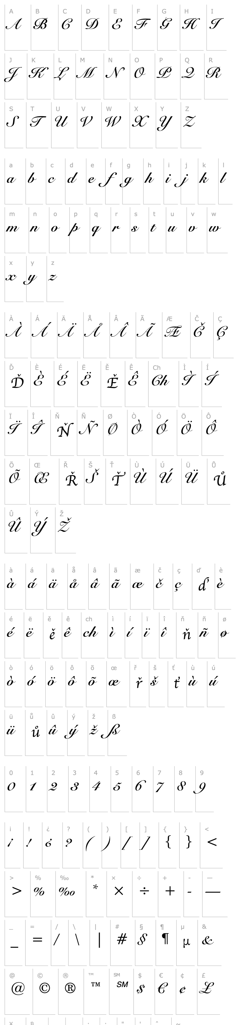 Overview Roundhand Bd BT Bold