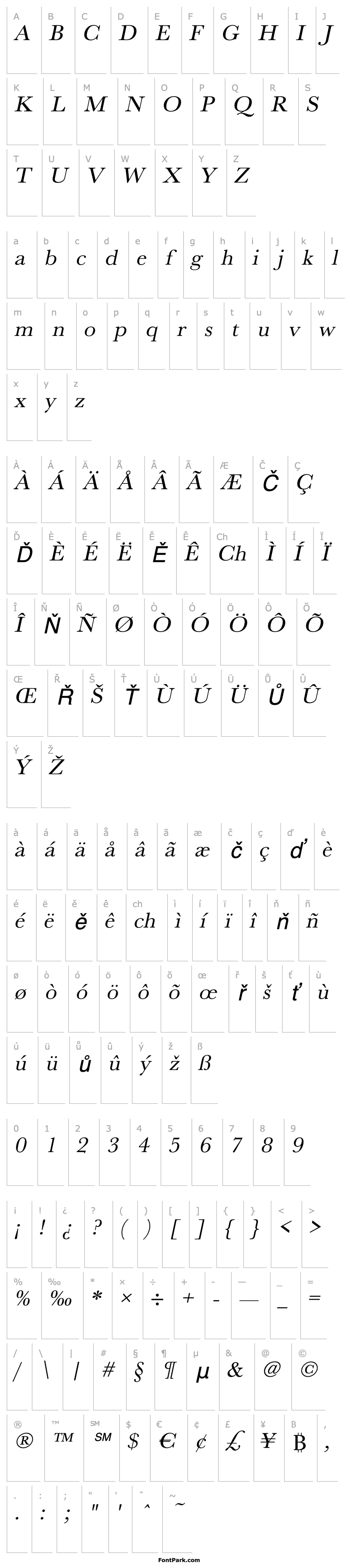 Overview RoxanneBeckerWide Italic