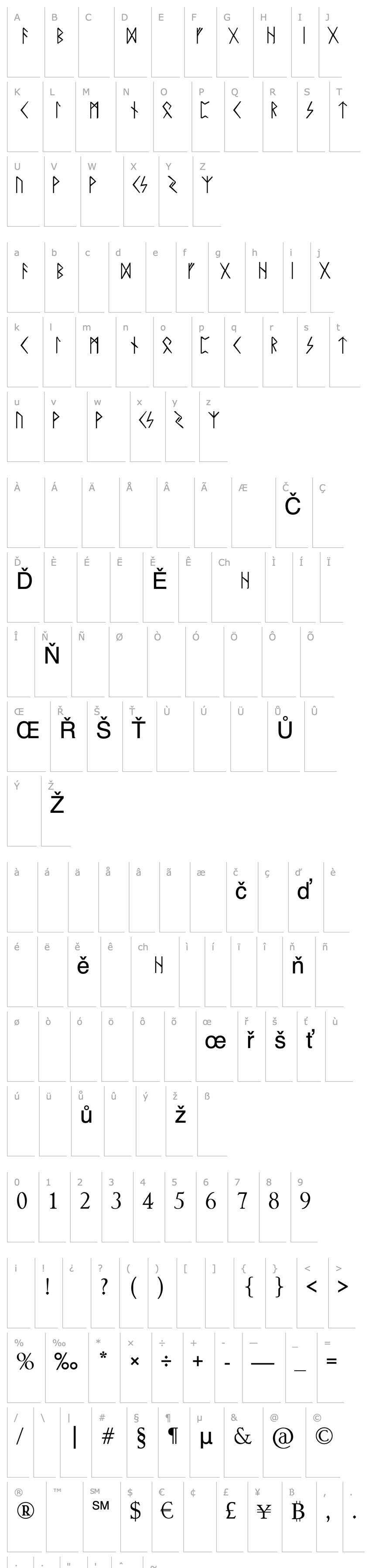 Overview Rune