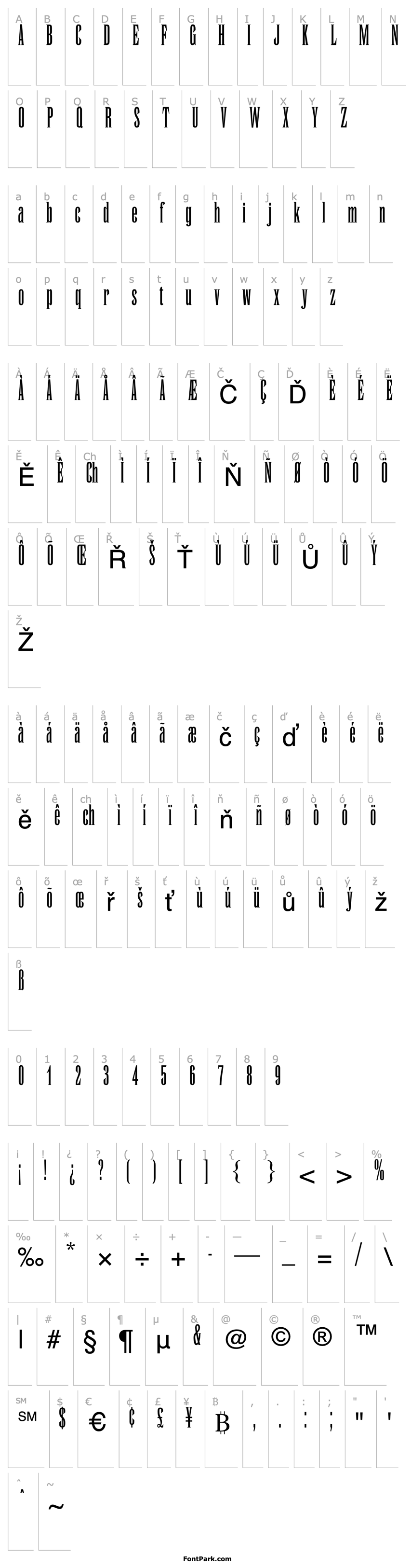 Overview RunicMT-Condensed